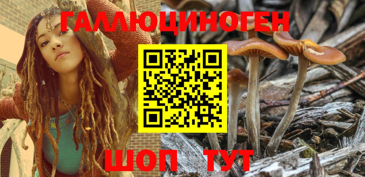 Строитель  Псилоцибиновые грибы мухоморы  Галлюциногенные грибы MAGIC MUSHROOMS  где продают   Вход с VPN 